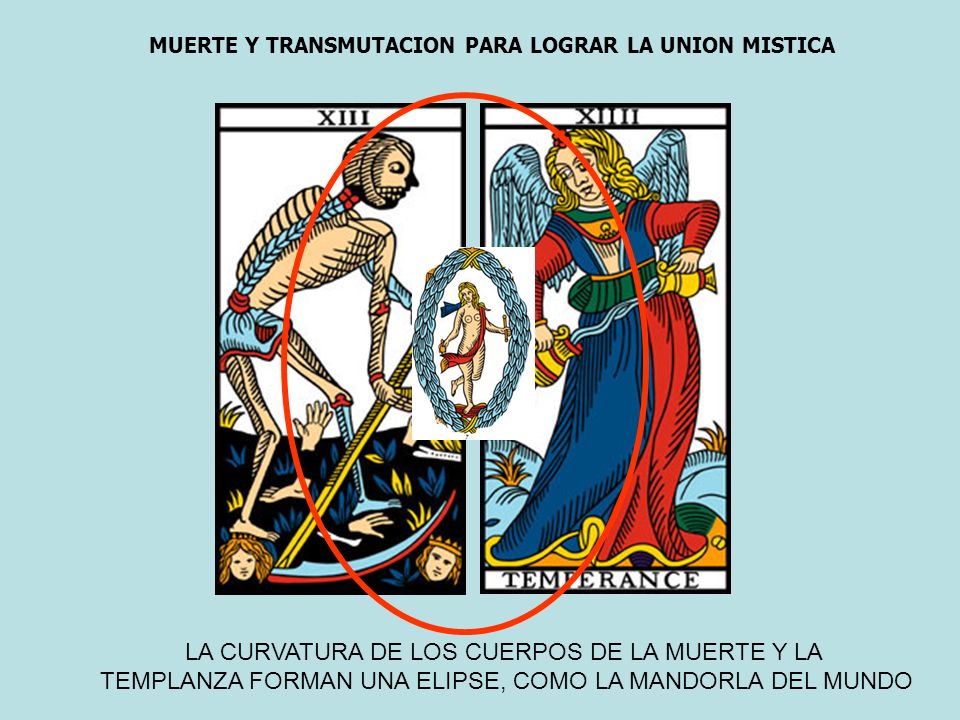 LA CURVATURA DE LOS CUERPOS DE LA MUERTE Y LA