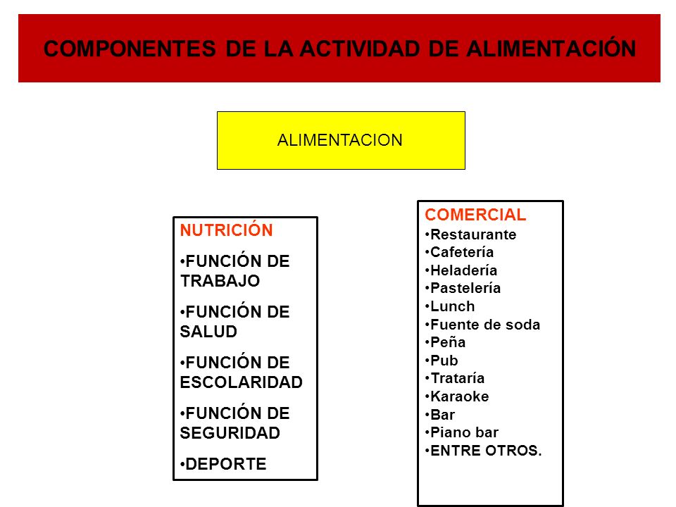 COMPONENTES DE LA ACTIVIDAD DE ALIMENTACIÓN