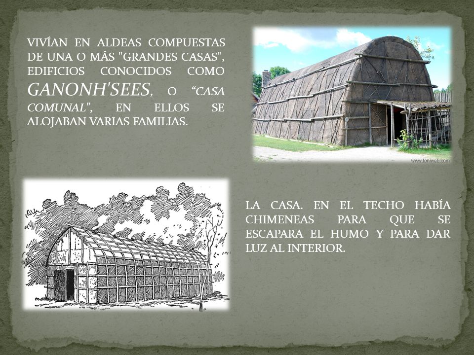 VIVÍAN EN ALDEAS COMPUESTAS DE UNA O MÁS GRANDES CASAS , EDIFICIOS CONOCIDOS COMO GANONH SEES, O CASA COMUNAL , EN ELLOS SE ALOJABAN VARIAS FAMILIAS.
