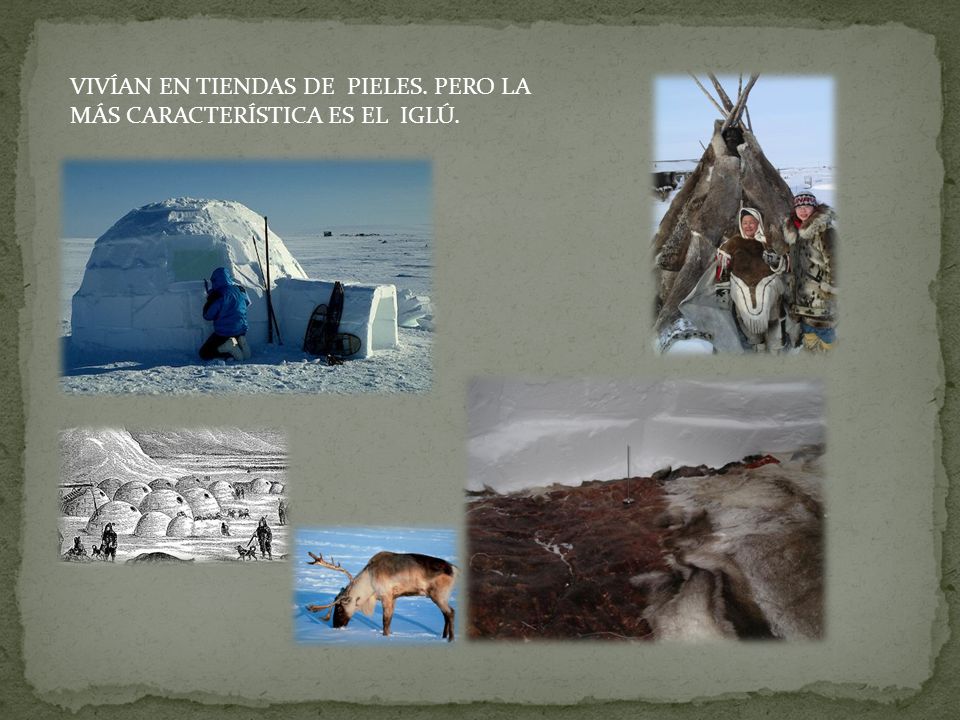 VIVÍAN EN TIENDAS DE PIELES. PERO LA MÁS CARACTERÍSTICA ES EL IGLÚ.
