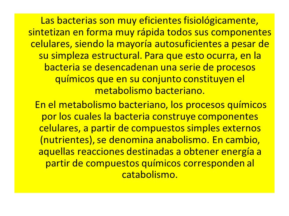 Las bacterias son muy eficientes fisiológicamente, sintetizan en forma muy rápida todos sus componentes celulares, siendo la mayoría autosuficientes a pesar de su simpleza estructural.