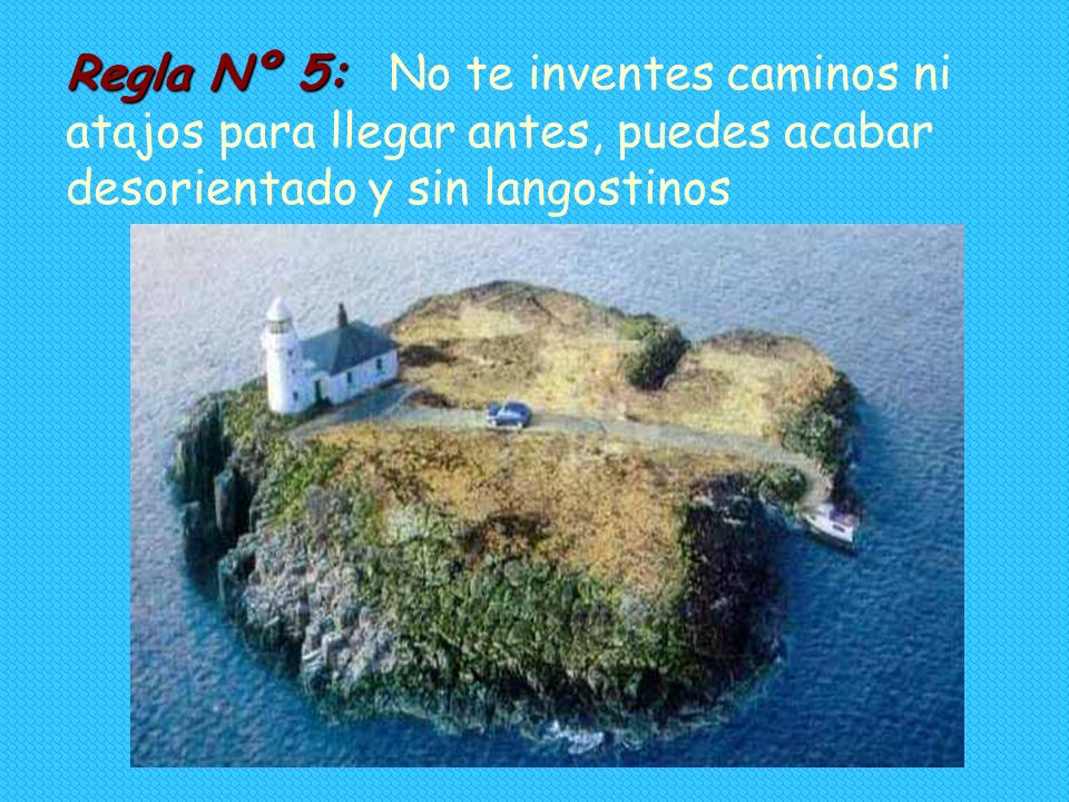 Regla Nº 5: No te inventes caminos ni atajos para llegar antes, puedes acabar desorientado y sin langostinos