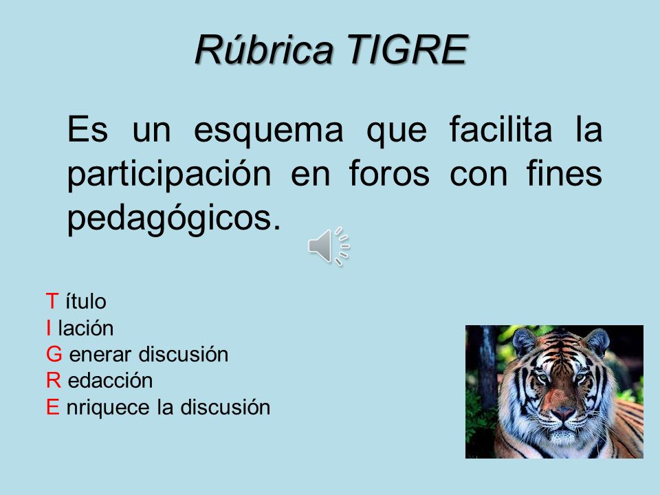 Rúbrica TIGRE Es un esquema que facilita la participación en foros con fines pedagógicos. T ítulo.