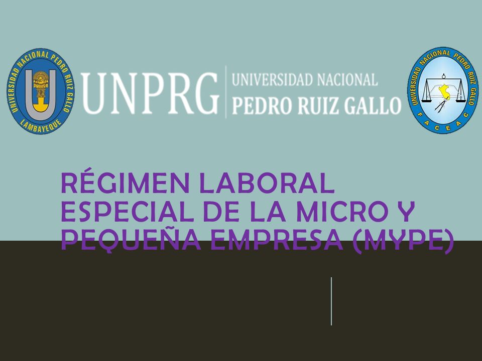 RÉGIMEN LABORAL ESPECIAL DE LA MICRO Y PEQUEÑA EMPRESA (MYPE)