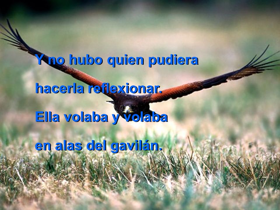 Y no hubo quien pudiera hacerla reflexionar. Ella volaba y volaba en alas del gavilán.