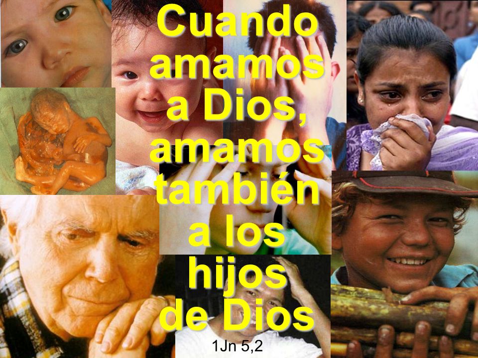 Cuando amamos a Dios, amamos también a los hijos de Dios 1Jn 5,2