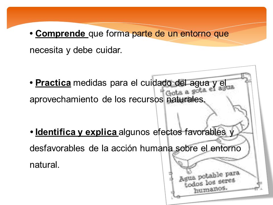 • Comprende que forma parte de un entorno que necesita y debe cuidar.