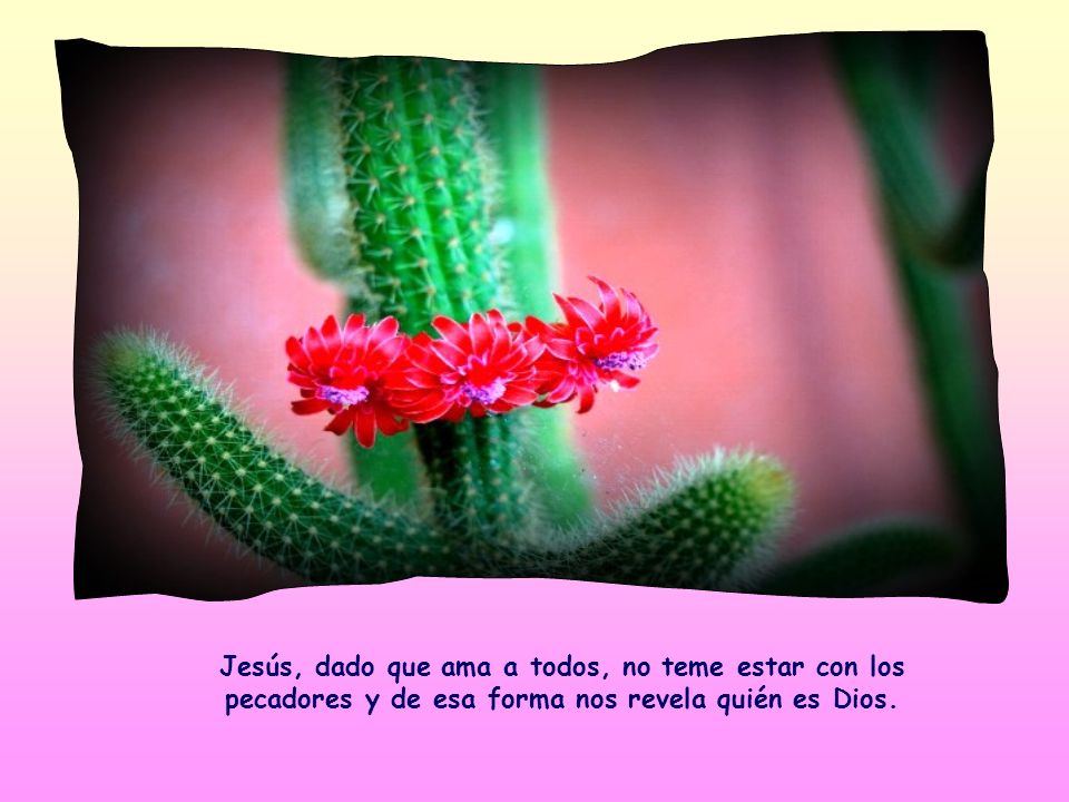 Jesús, dado que ama a todos, no teme estar con los pecadores y de esa forma nos revela quién es Dios.