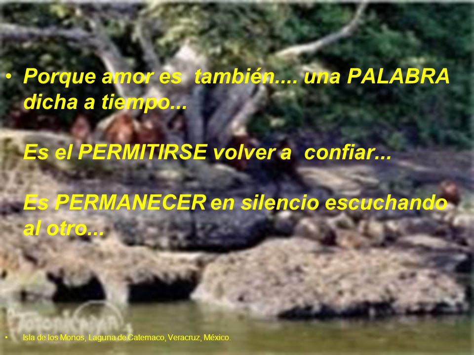 Porque amor es también. una PALABRA dicha a tiempo