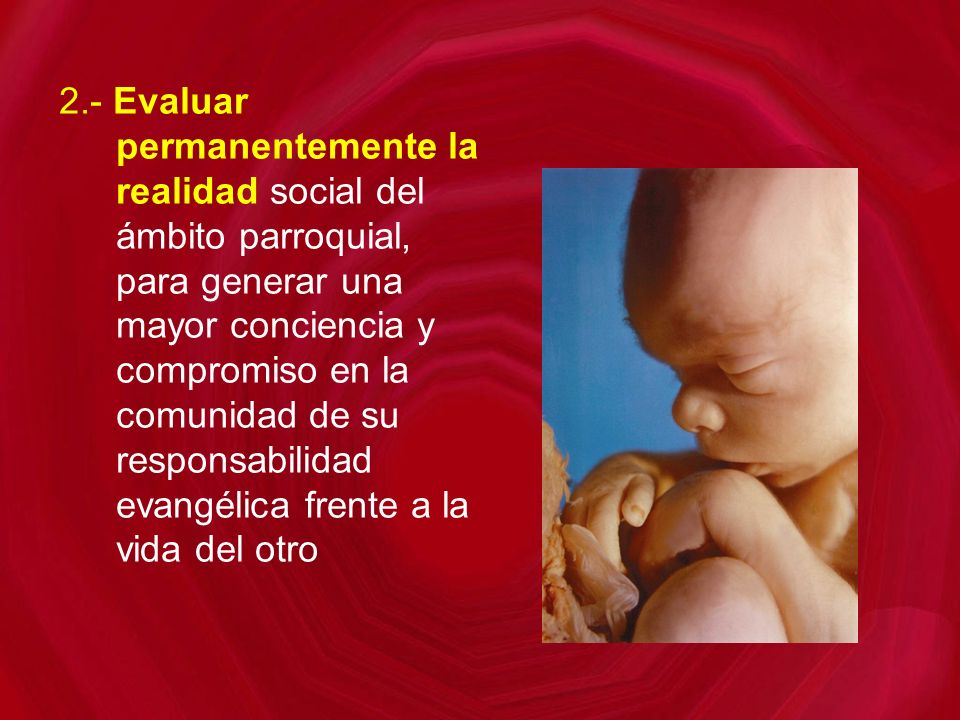 2.- Evaluar permanentemente la realidad social del ámbito parroquial, para generar una mayor conciencia y compromiso en la comunidad de su responsabilidad evangélica frente a la vida del otro
