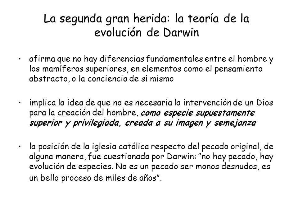 La segunda gran herida: la teoría de la evolución de Darwin