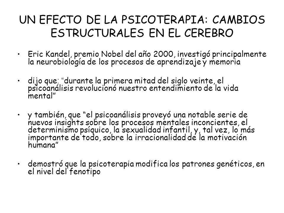 UN EFECTO DE LA PSICOTERAPIA: CAMBIOS ESTRUCTURALES EN EL CEREBRO