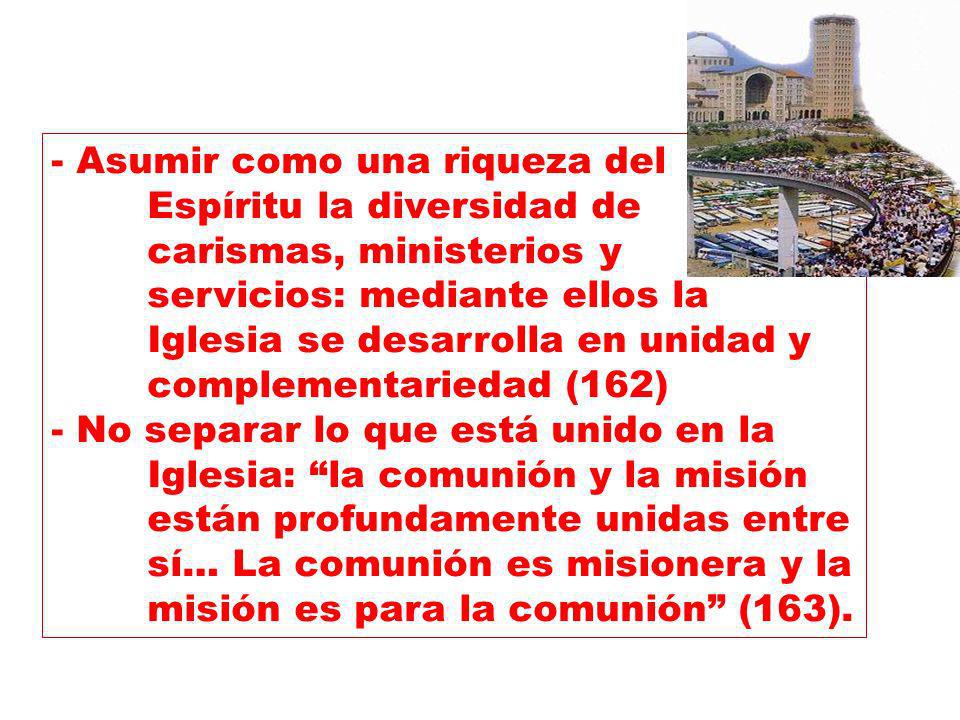 - Asumir como una riqueza del. Espíritu la diversidad de