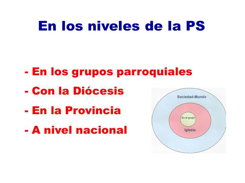 En los niveles de la PS En los grupos parroquiales Con la Diócesis