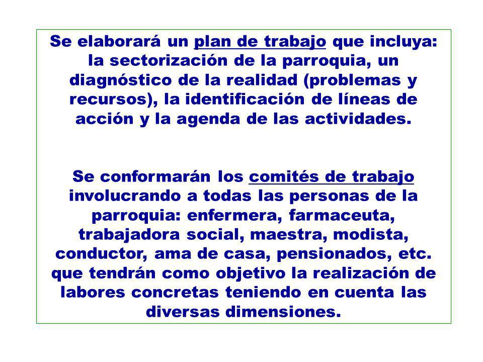 Se elaborará un plan de trabajo que incluya: la sectorización de la parroquia, un diagnóstico de la realidad (problemas y recursos), la identificación de líneas de acción y la agenda de las actividades.