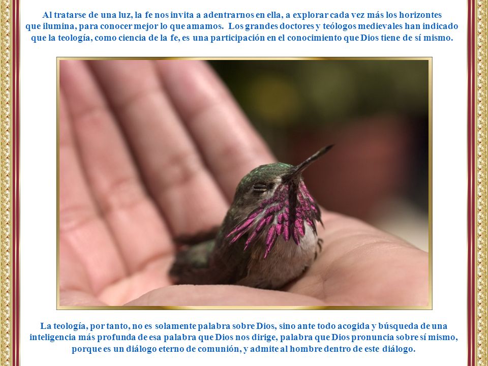 Al tratarse de una luz, la fe nos invita a adentrarnos en ella, a explorar cada vez más los horizontes