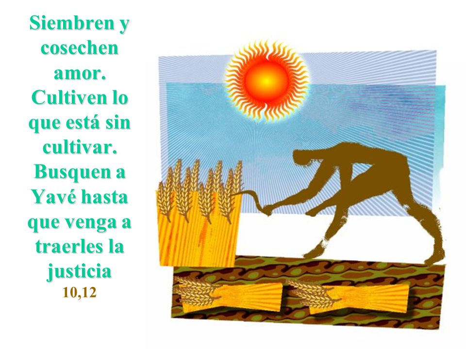 Siembren y cosechen amor. Cultiven lo que está sin cultivar
