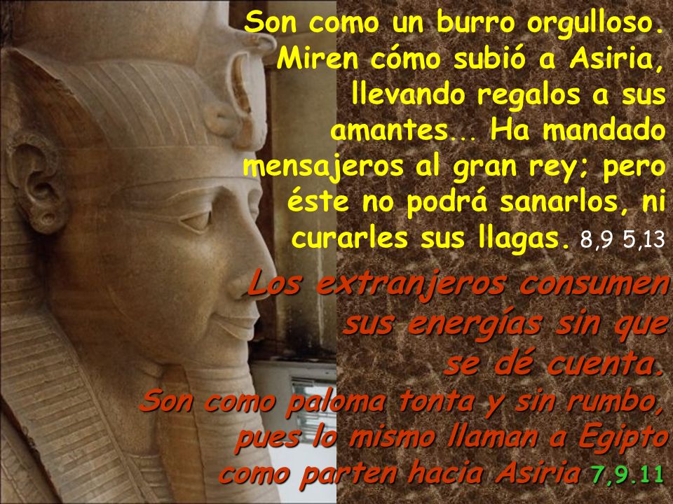 Los extranjeros consumen sus energías sin que se dé cuenta.