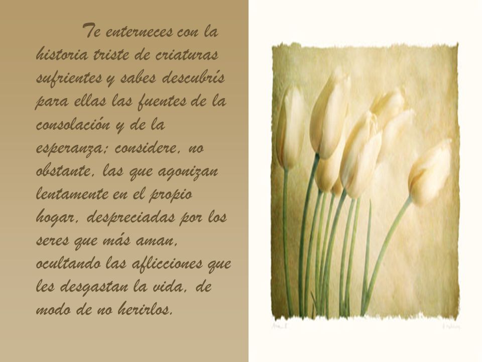 Te enterneces con la historia triste de criaturas sufrientes y sabes descubrís para ellas las fuentes de la consolación y de la esperanza; considere, no obstante, las que agonizan lentamente en el propio hogar, despreciadas por los seres que más aman, ocultando las aflicciones que les desgastan la vida, de modo de no herirlos.