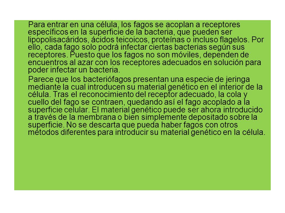 Para entrar en una célula, los fagos se acoplan a receptores específicos en la superficie de la bacteria, que pueden ser lipopolisacáridos, ácidos teicoicos, proteínas o incluso flagelos. Por ello, cada fago solo podrá infectar ciertas bacterias según sus receptores. Puesto que los fagos no son móviles, dependen de encuentros al azar con los receptores adecuados en solución para poder infectar un bacteria.