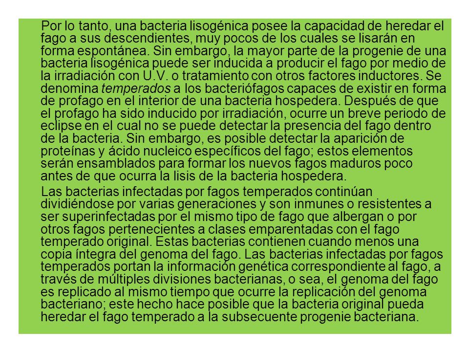Por lo tanto, una bacteria lisogénica posee la capacidad de heredar el fago a sus descendientes, muy pocos de los cuales se lisarán en forma espontánea. Sin embargo, la mayor parte de la progenie de una bacteria lisogénica puede ser inducida a producir el fago por medio de la irradiación con U.V. o tratamiento con otros factores inductores. Se denomina temperados a los bacteriófagos capaces de existir en forma de profago en el interior de una bacteria hospedera. Después de que el profago ha sido inducido por irradiación, ocurre un breve periodo de eclipse en el cual no se puede detectar la presencia del fago dentro de la bacteria. Sin embargo, es posible detectar la aparición de proteínas y ácido nucleico específicos del fago; estos elementos serán ensamblados para formar los nuevos fagos maduros poco antes de que ocurra la lisis de la bacteria hospedera.