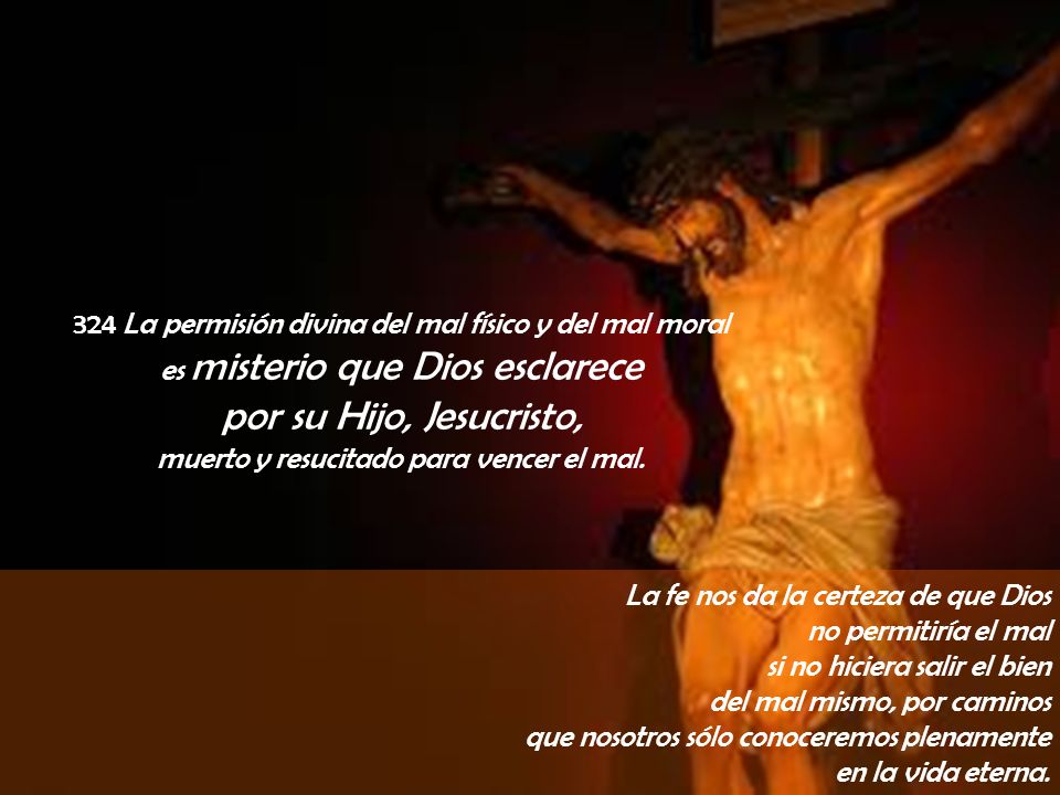 324 La permisión divina del mal físico y del mal moral