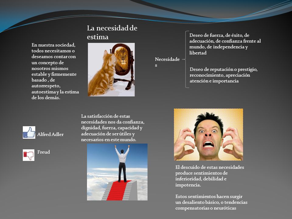La necesidad de estima Necesidades. Deseo de fuerza, de éxito, de adecuación, de confianza frente al mundo, de independencia y libertad.