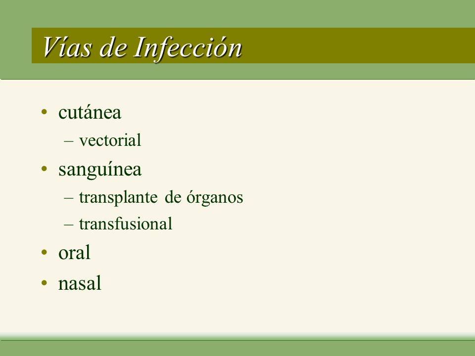 Vías de Infección cutánea sanguínea oral nasal vectorial