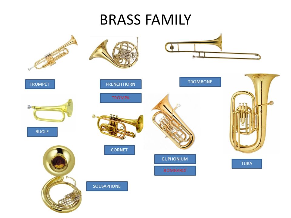 BRASS FAMILY TROMBONE TRUMPET FRENCH HORN TROMPA BUGLE CORNET