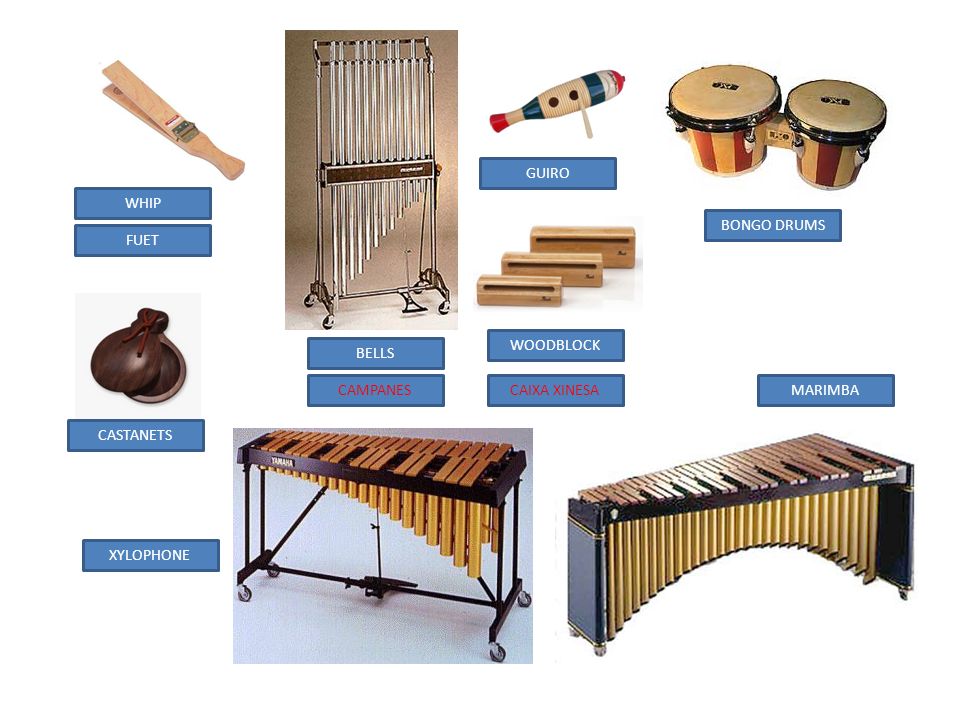 GUIRO WHIP BONGO DRUMS FUET WOODBLOCK BELLS CAMPANES CAIXA XINESA MARIMBA CASTANETS XYLOPHONE