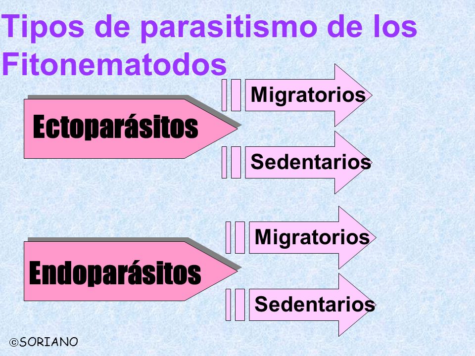 Tipos de parasitismo de los Fitonematodos