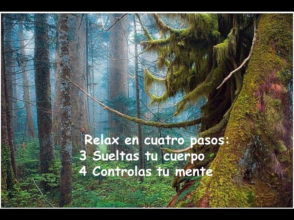 Relax en cuatro pasos: 3 Sueltas tu cuerpo 4 Controlas tu mente