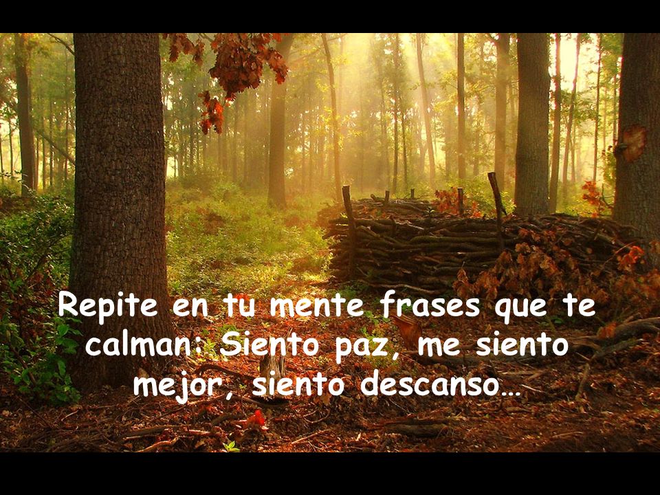 Repite en tu mente frases que te calman: Siento paz, me siento mejor, siento descanso…
