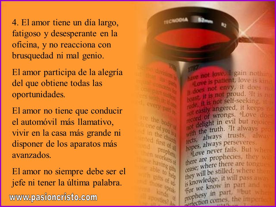El amor no siempre debe ser el jefe ni tener la última palabra.
