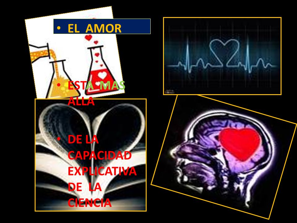 EL AMOR ESTA MAS ALLA DE LA CAPACIDAD EXPLICATIVA DE LA CIENCIA