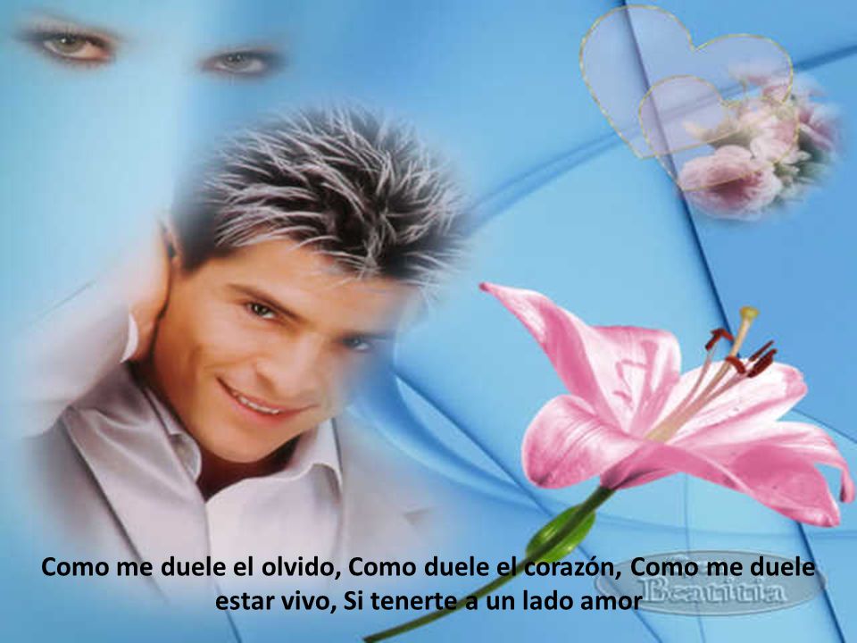 Como me duele el olvido, Como duele el corazón, Como me duele estar vivo, Si tenerte a un lado amor