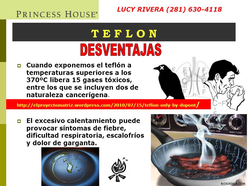 DESVENTAJAS T E F L O N LUCY RIVERA (281)