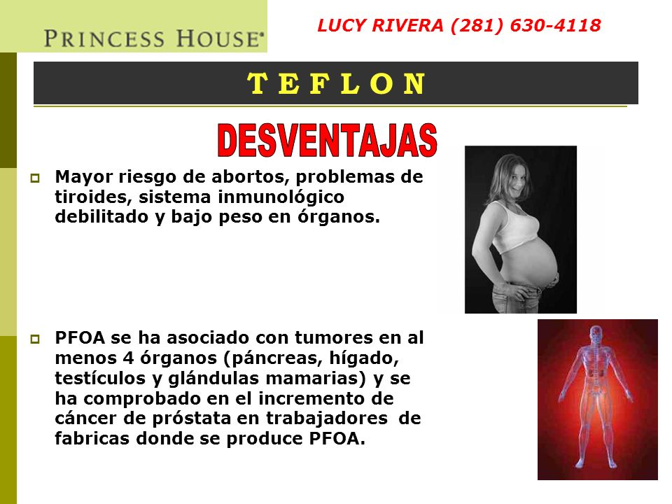 DESVENTAJAS T E F L O N LUCY RIVERA (281)