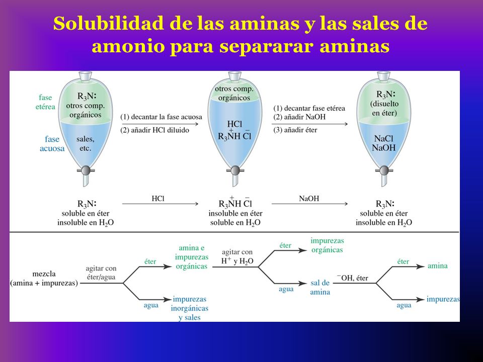 Solubilidad de las aminas y las sales de amonio para separarar aminas