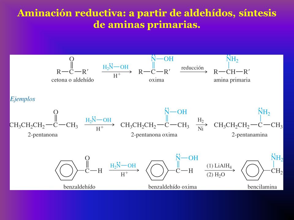 Aminación reductiva: a partir de aldehídos, síntesis de aminas primarias.