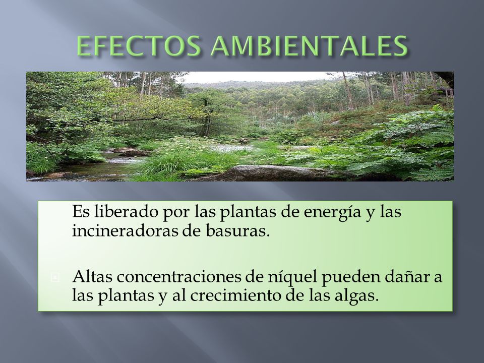 EFECTOS AMBIENTALES Es liberado por las plantas de energía y las incineradoras de basuras.