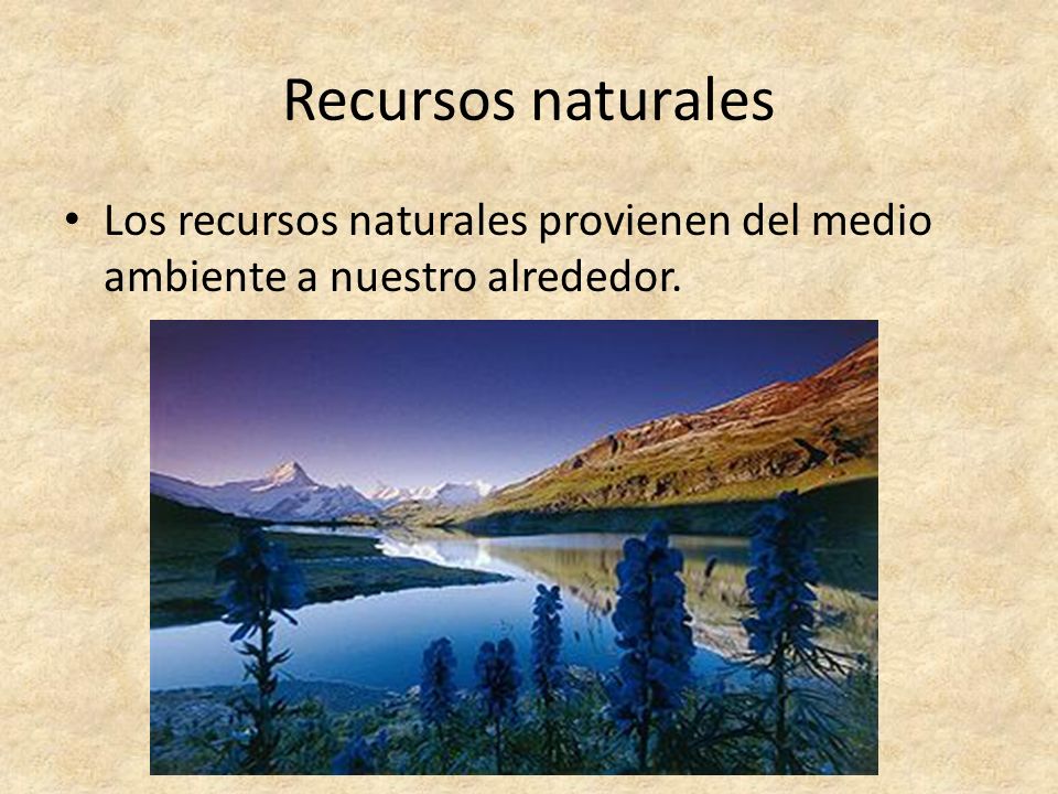 Recursos naturales Los recursos naturales provienen del medio ambiente a nuestro alrededor.