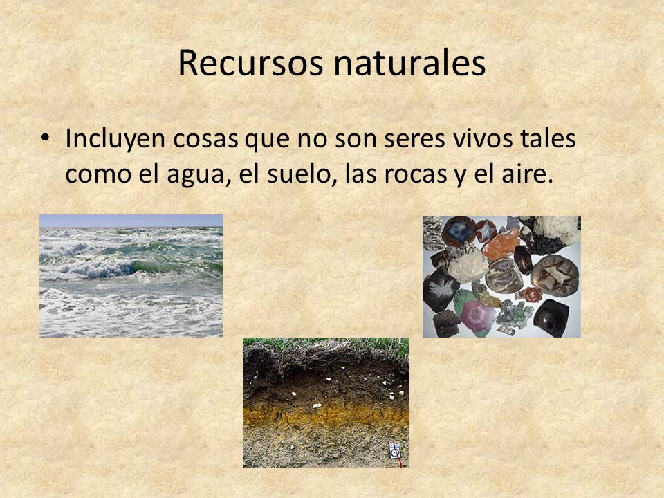 Recursos naturales Incluyen cosas que no son seres vivos tales como el agua, el suelo, las rocas y el aire.