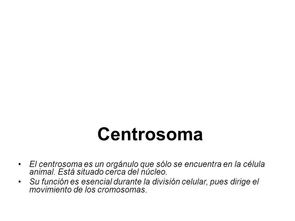 Centrosoma El centrosoma es un orgánulo que sólo se encuentra en la célula animal. Está situado cerca del núcleo.