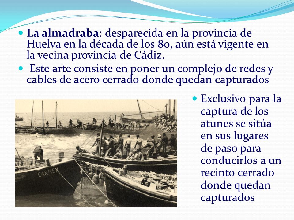 La almadraba: desparecida en la provincia de Huelva en la década de los 80, aún está vigente en la vecina provincia de Cádiz.