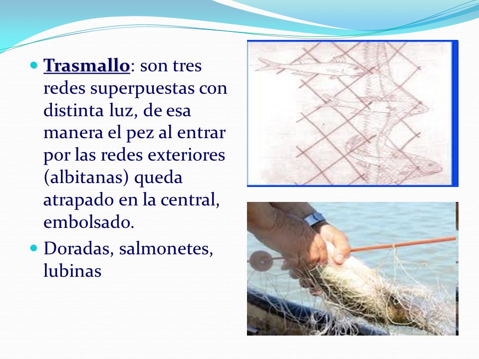 Trasmallo: son tres redes superpuestas con distinta luz, de esa manera el pez al entrar por las redes exteriores (albitanas) queda atrapado en la central, embolsado.