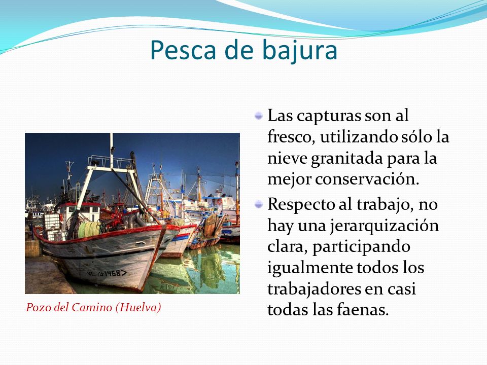 Pesca de bajura Las capturas son al fresco, utilizando sólo la nieve granitada para la mejor conservación.