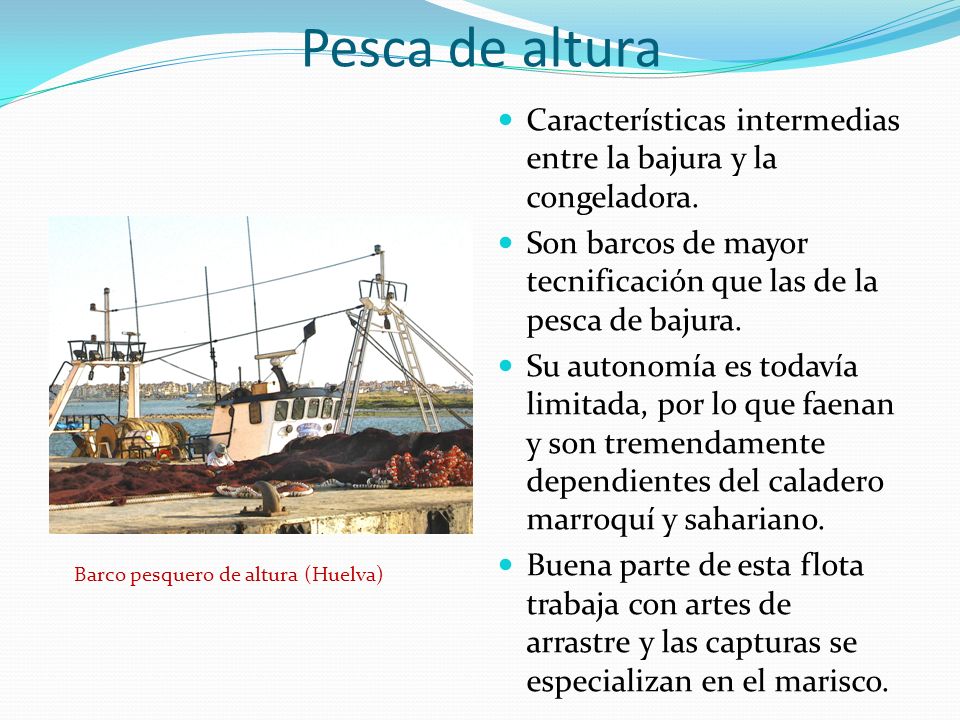 Pesca de altura Características intermedias entre la bajura y la congeladora. Son barcos de mayor tecnificación que las de la pesca de bajura.