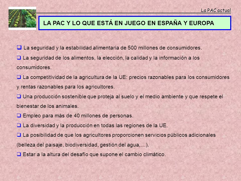 LA PAC Y LO QUE ESTÁ EN JUEGO EN ESPAÑA Y EUROPA