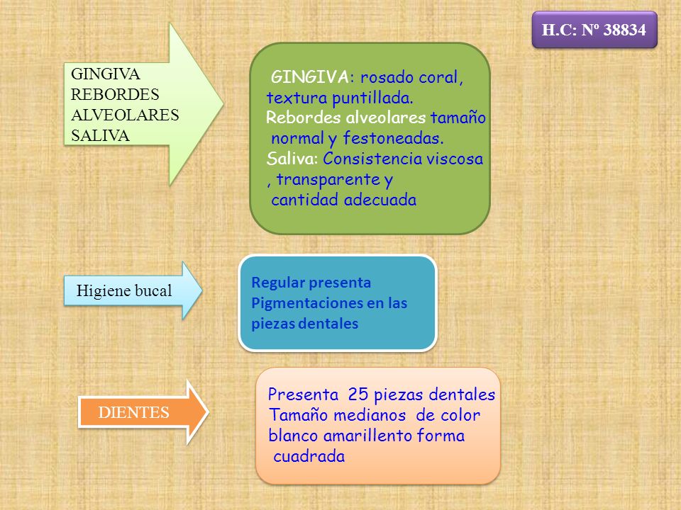 H.C: Nº GINGIVA. REBORDES. ALVEOLARES. SALIVA. GINGIVA: rosado coral, textura puntillada.